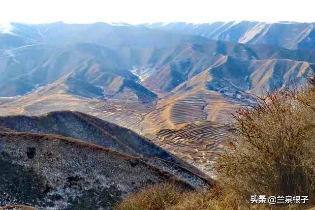 榆中高崖有多少人口_兰州大学榆中校区(3)