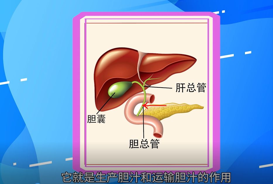 那就得先来了解下胆了要想知道胆结石极可能是可恶的胆结石在作怪!