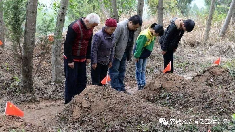 高粱镇有多少人口_树人镇有多少人口(3)