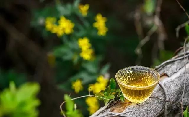 一杯水的冷漠  财富故事 绘本 故事的启发在线阅读