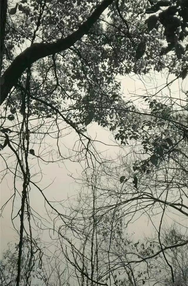 心灵原乡万物重影摄影展用另一双眼睛看世界