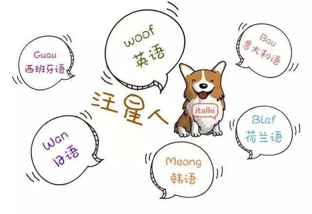 想知道用英语怎么读