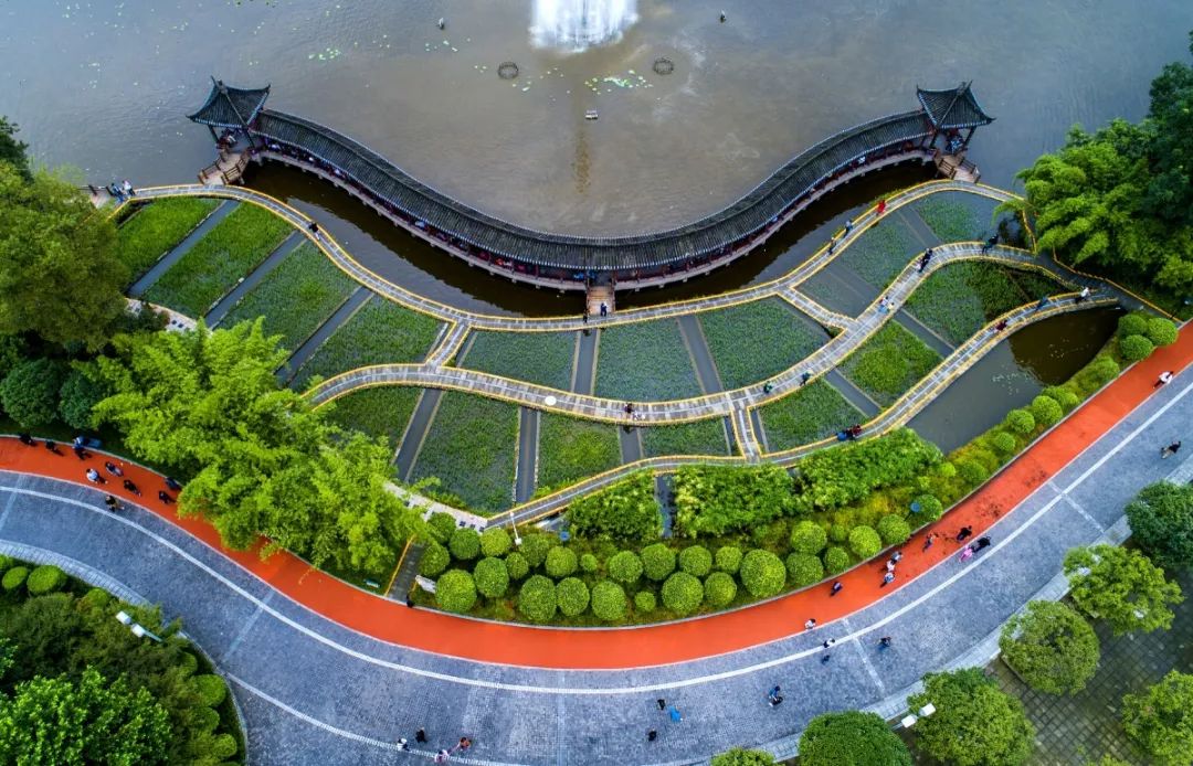 2020重庆主城都市区G_重庆主城地图(3)