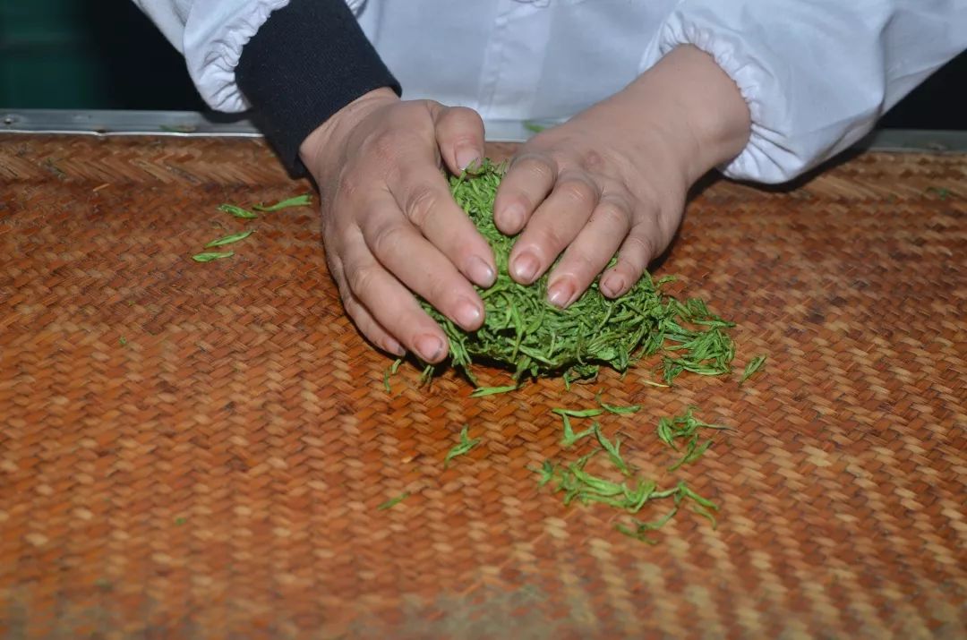 南京雨花茶·手工揉捻