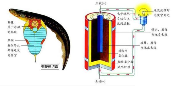 高压放电的原理是什么?