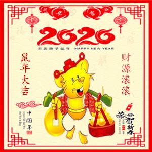 "2020"鼠你好运,大吉大利!微信旺财头像