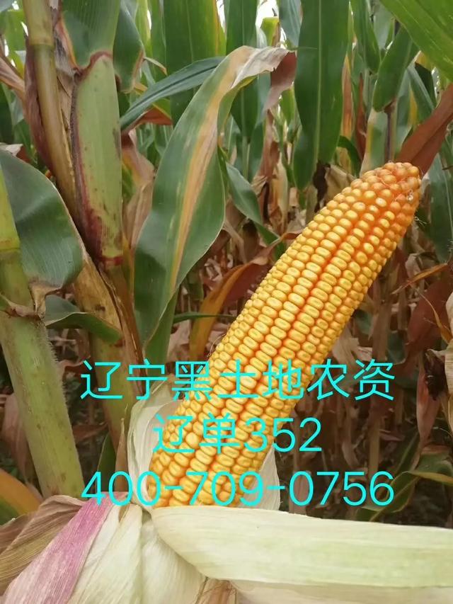 0df34cac716144e9bbef3d8dfcc60958.jpeg