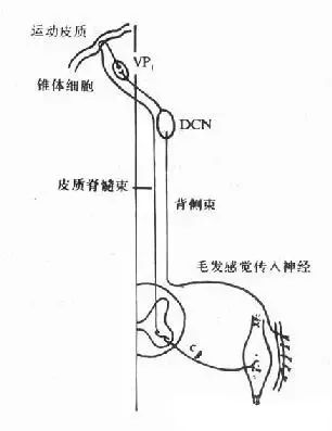 摆梭的原理_液压梭阀的工作原理(2)