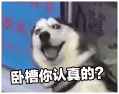 表情包|来波傻狗