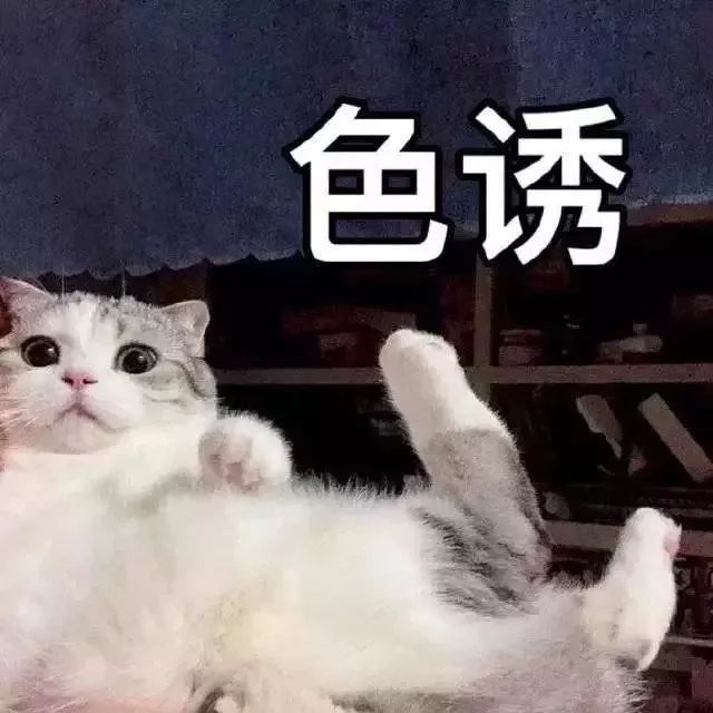 1f293d7ed96247f493117bb64a10775c.jpeg