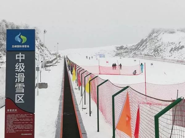 五峰人口数量_人口普查图片