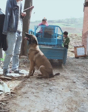214098ff017d448fa12964f796e646a7.gif