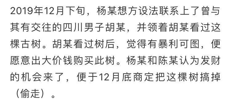 陈姓人口_陈姓人口最多的省(3)