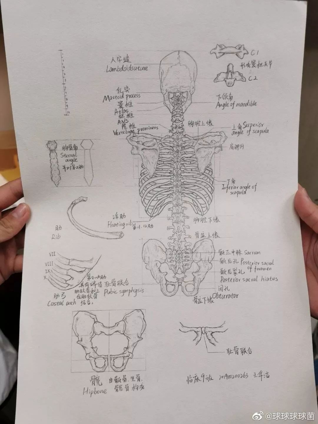 医学生的实验材料咋写 2d121d1d0b56494186a591d6259697a1.jpeg