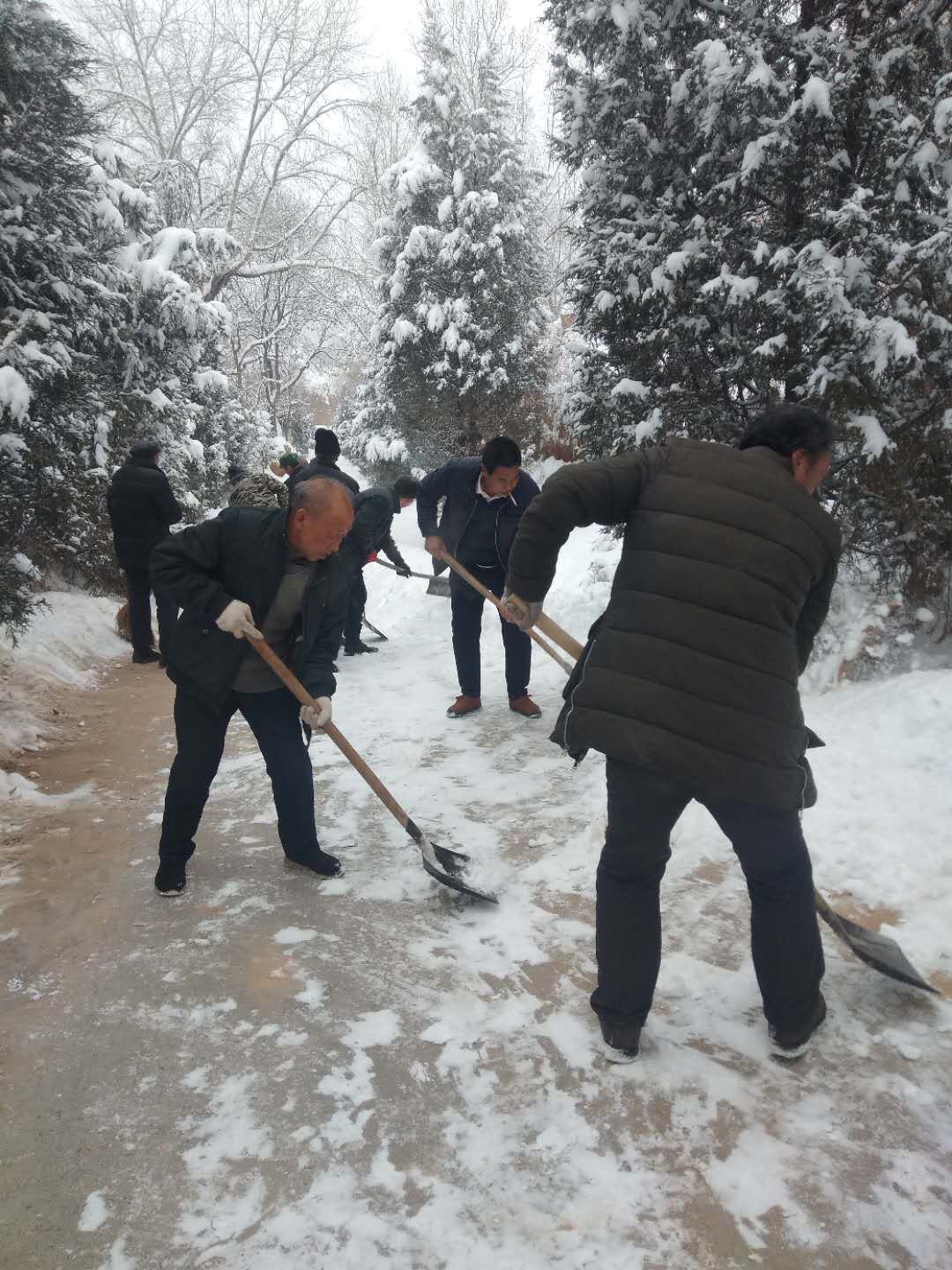 赵康村人口_绯村剑心真人(3)