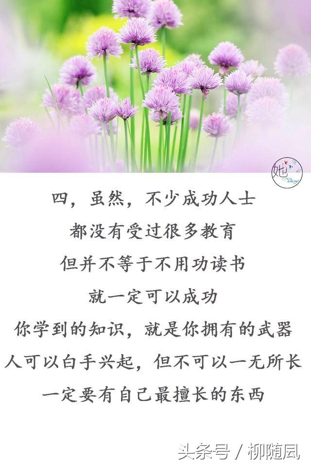38e30c3eb666432b841c8ab74b2269cf.jpeg