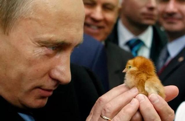 普京20年风雨路：强人政治如何改写俄罗斯命运