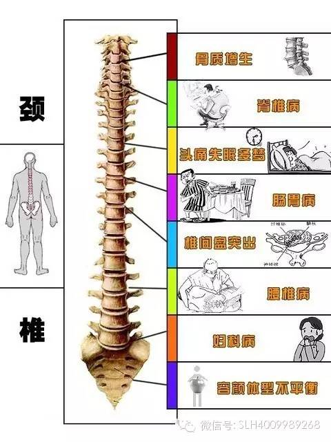 3dff6c0fa5e8458ba38fb76128ac8080.jpeg