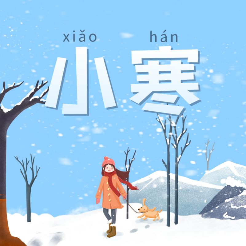 2020年小寒：命理视角下的独特解读（2020年小寒什么命）