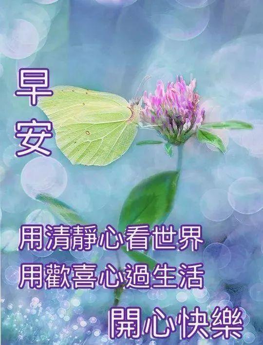 452ba462a8b8454eb04ebb99ed86cd06.jpeg