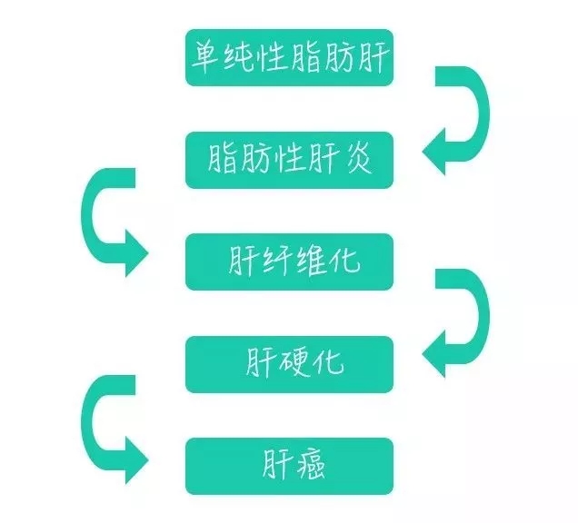 4dc109d15fc44d64a33089c6c31a1927.jpeg