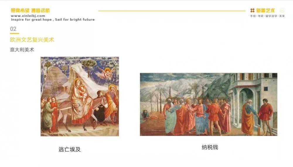 【北京林业大学】724专业理论|2020初试真题解析