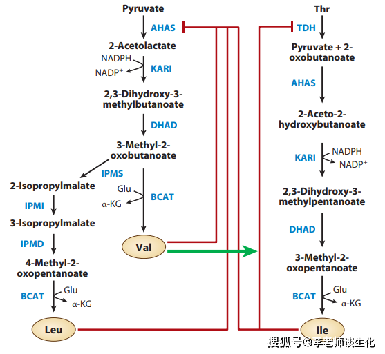 51442ab1cf9c4b1290c44eac8cde5883.png