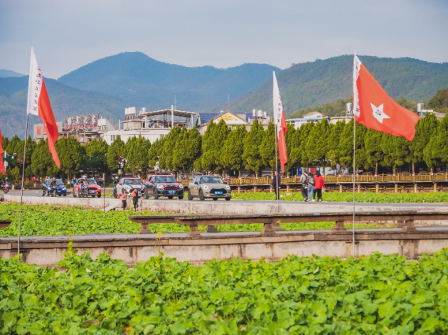 厦门信达通宝MINI爱心车队自驾山区献爱心——龙岩