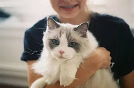 怎么叫小猫别咬人 54fbe3b5a4bc48bca3ebfc59ad698ea2.jpeg
