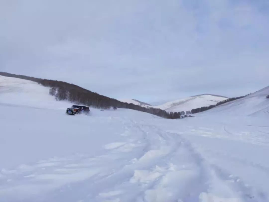 雪地奔驰,艰苦卓绝.