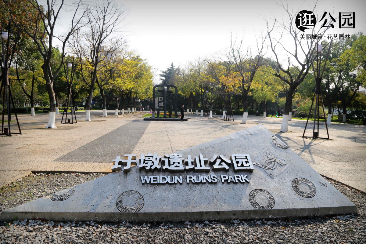 绿树迎面枫叶正红冬日的圩墩公园依旧是个色彩缤纷的世界