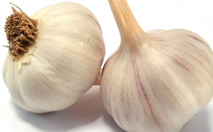 蒜头的功效与作用 69de4edca094410088e65e2c2d2d0a2c.jpeg