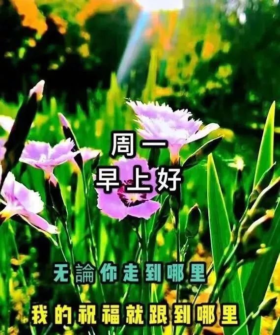 星期一最新漂亮早上好祝福问候语图片,小寒暖心的早上