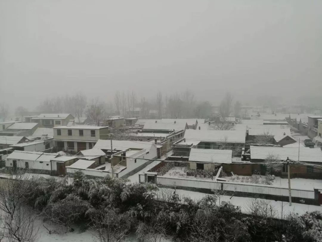 菏泽,你凭什么还不下雪!