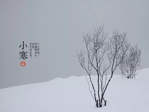 巢鹊什么成语_鹊始巢图片(2)