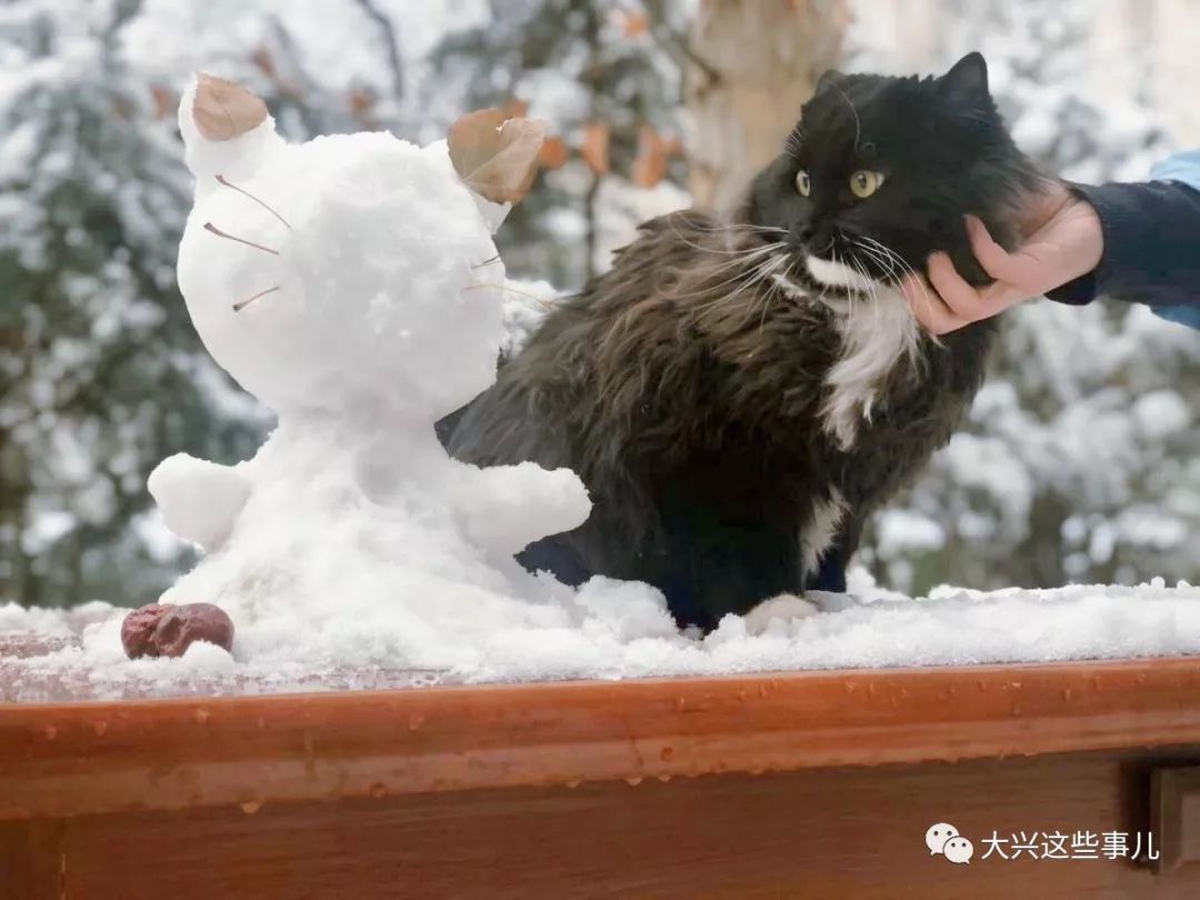 这雪痛快大兴小伙伴们堆了这老些雪人你的长啥样