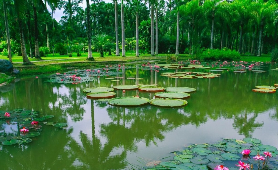 放空自己，来告庄西双景就够了
