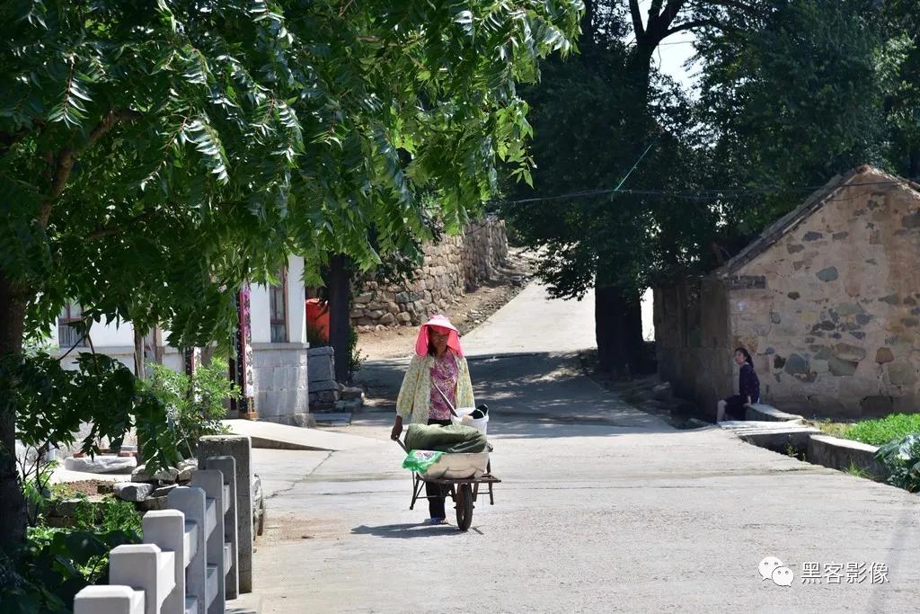 石家口人口_人口普查图片