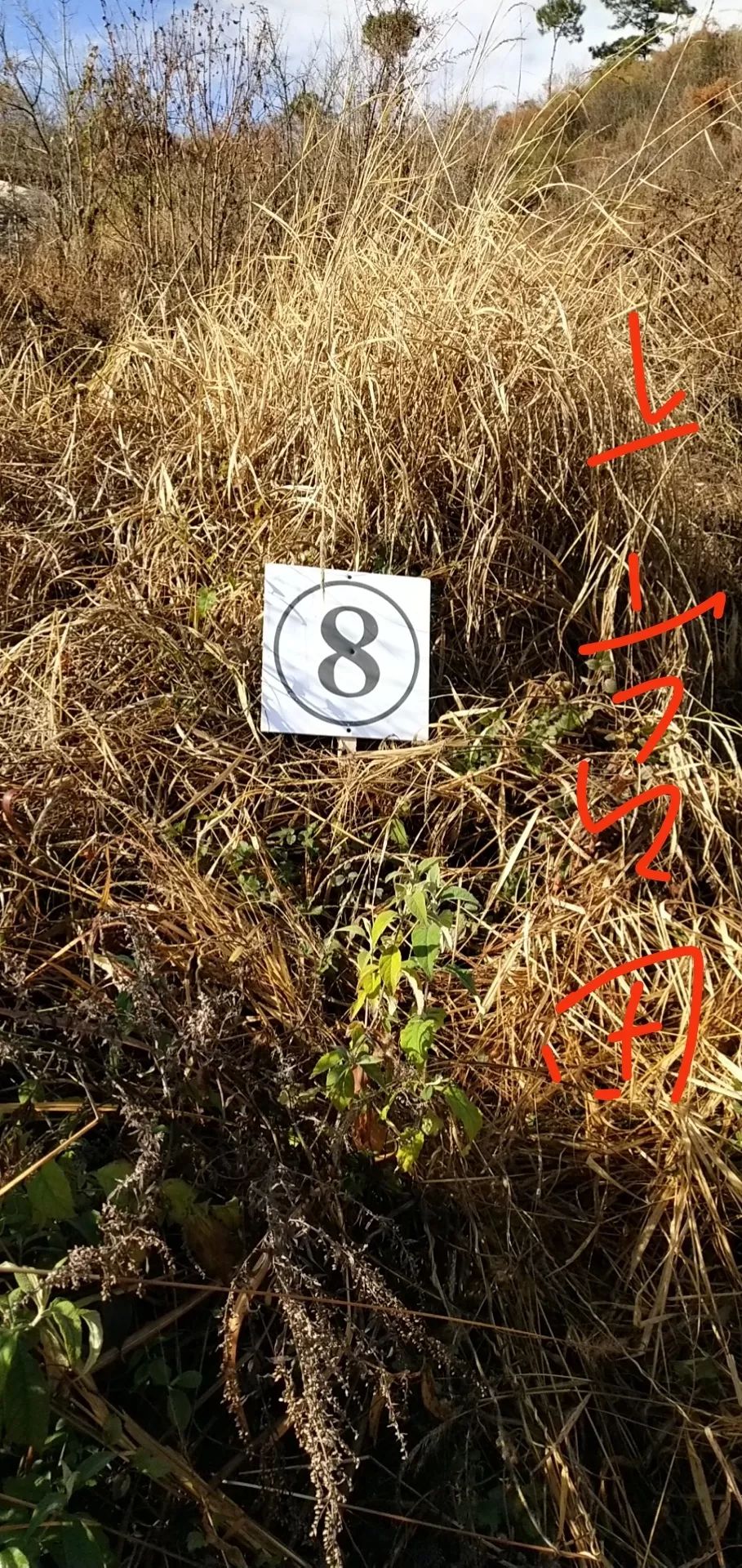 8bbd5e07dbab4d7583fff759a54de2fe.jpeg
