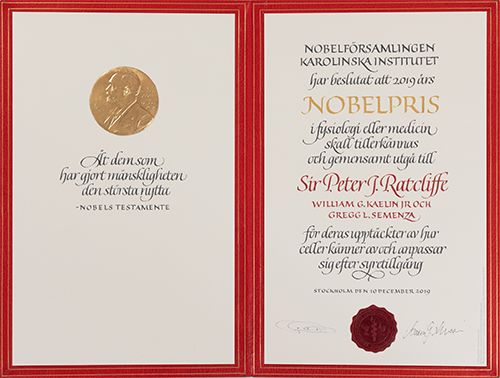 欣赏 那些与我无缘的诺贝尔获奖证书,每一张都是艺术品