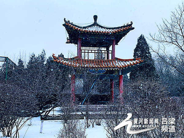 1月5日,吕梁大范围降雪,离石凤山公园内银装素裹,雪