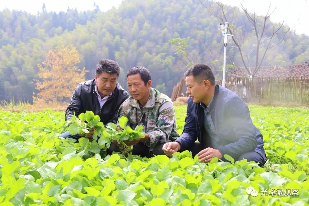 田马镇人口_人口普查(2)