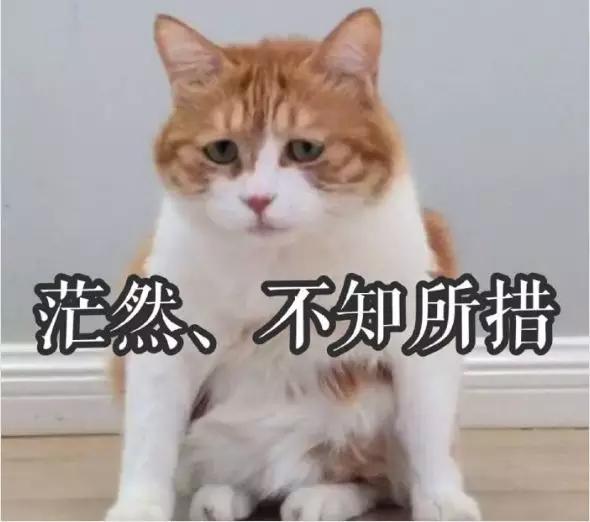 a48cce5b4d134944855da7caa3fef0fb.jpeg