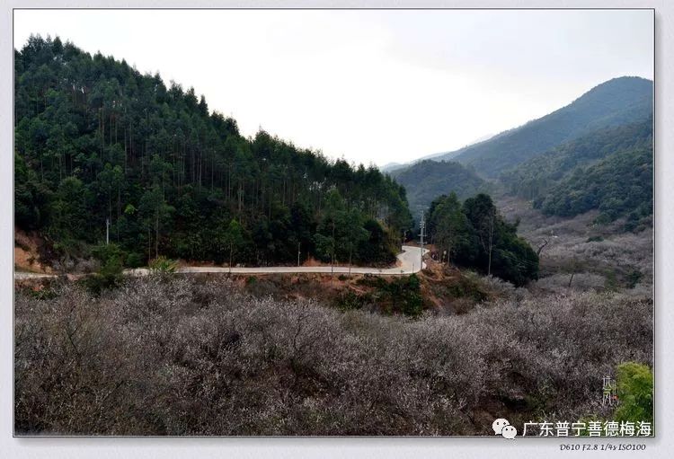 地址:普宁市大坪镇善德村 返回搜             责任编辑