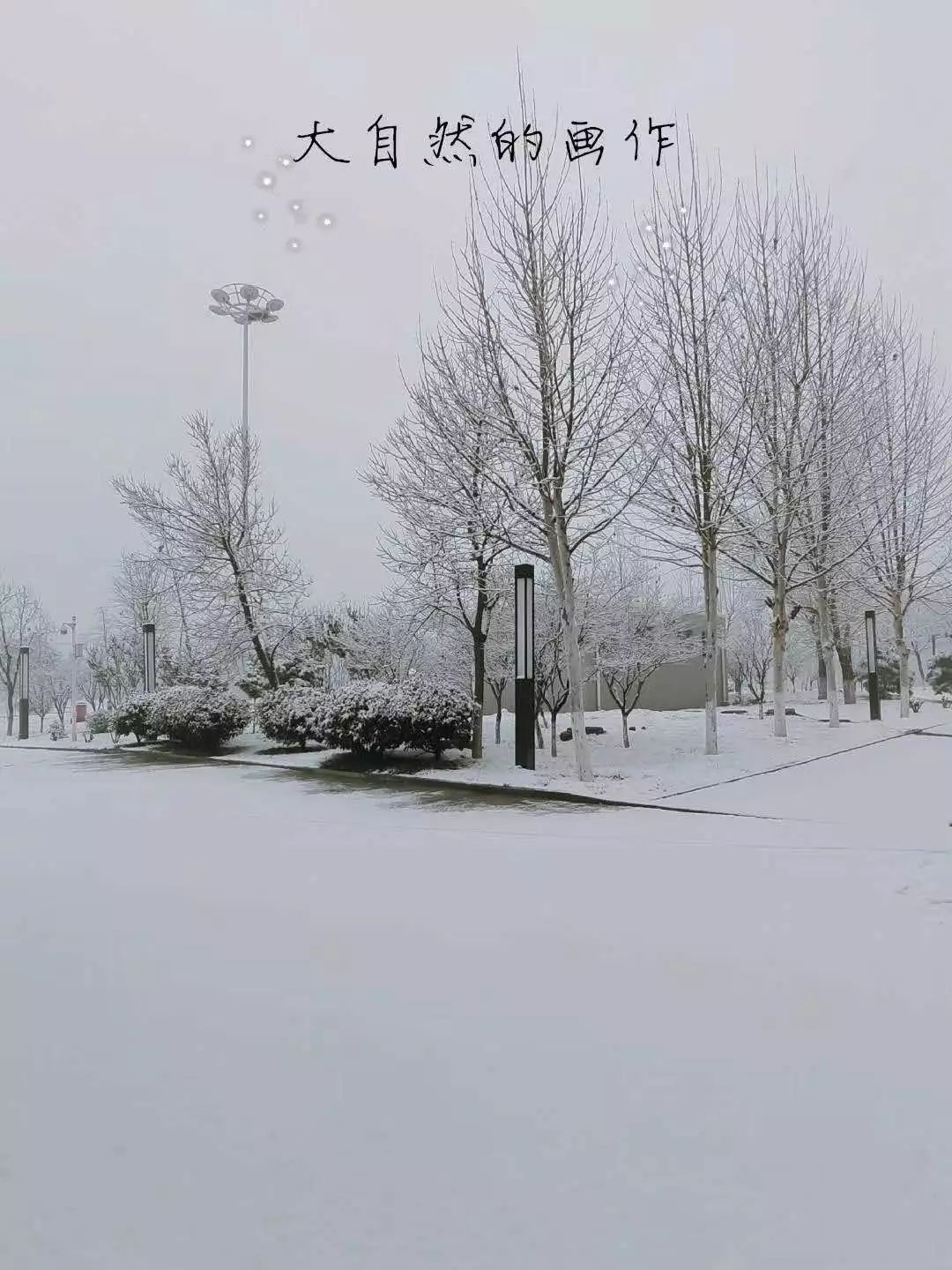 菏泽城区的雪好像有那么一点小 让我们再来看看 菏泽农村的雪是啥场面