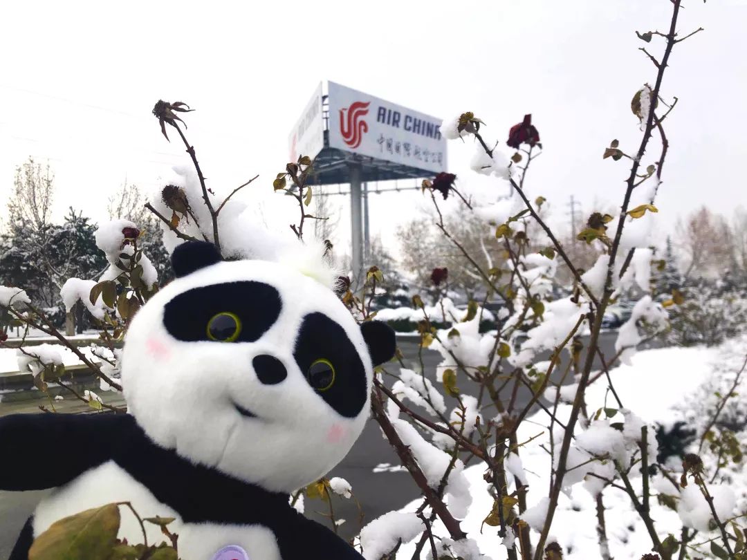 胖安达带你看2020年的初雪