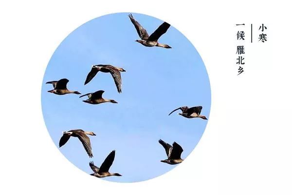 成语断雁什么_成语故事简笔画(2)