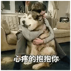 表情包|来波傻狗