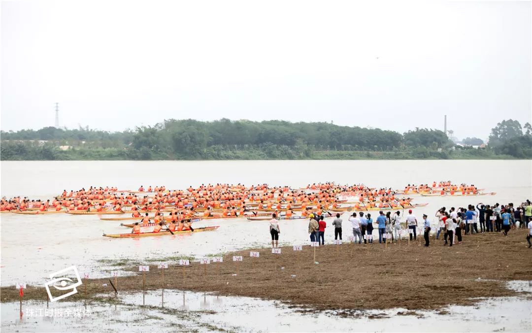 2019年南海区九江镇gdp_南海区九江镇湿地公园(2)