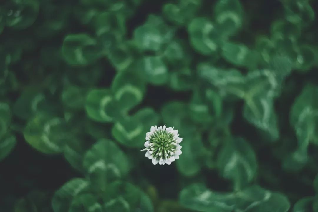 活着,懂得知足,才能幸福!